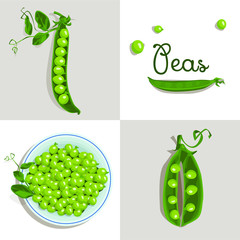 Set of green peas. Peas on a plate. Organic food vector illustration