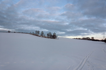 Winter landscape. Snow-covered field with an island of trees and the contours of urban buildings on the horizon.