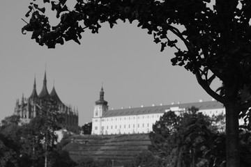 Obraz premium Cathedral and Jesuit college (Kutná Hora, Czech Republic)