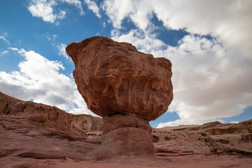 Timna National Park Mushroom