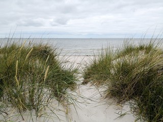 Fototapeta na wymiar Baltic Sea coast in Schleswig Holstein