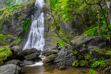 Naklejka premium Khlong Lan Waterfall, the beautiful waterfall in deep forest at Khlong Lan National Park ,Kamphaeng Phet, Thailand