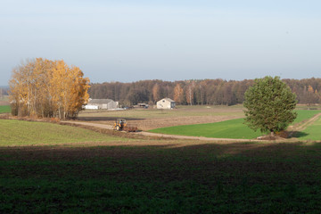 Wiejski krajobraz z drogą i traktorem