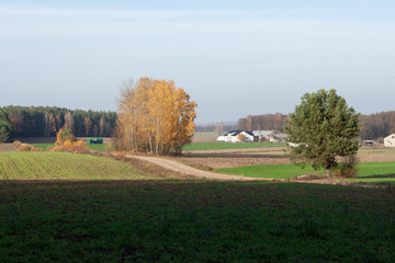   Wiejski krajobraz jesienny z cysterną w tle