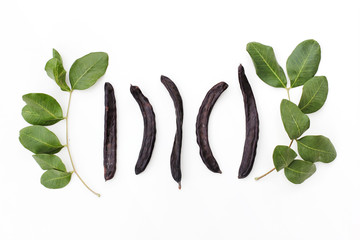 Ripe organic carob fruit pods and green leaves from locust tree on white background. Healthy alternative to cocoa and sugar - obrazy, fototapety, plakaty