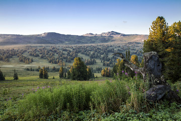 The Iolgo Range, Altai