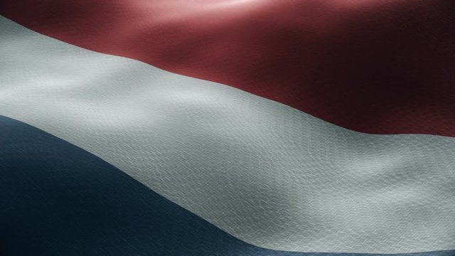 Closeup of a waving dutch flag looping