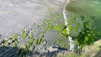 The beautiful, clear sea lapping the pebble beach at the popular Cornish tourist destination of Cadgwith.