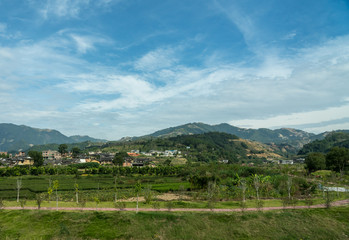 Fototapeta na wymiar Tea plantations around Tulou at Unesco heritage site near Xiamen