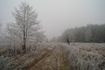 Obraz na płótnie Canvas winter landscape with snow covered trees