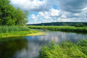 river, land with trees and cloudy sky