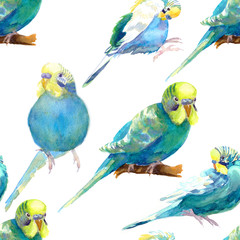 seamless pattern  wavy parrot blue with a yellow head. watercolor illustration