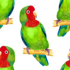 seamless pattern tropical Red-cheeked lovebird parrot. watercolor illustration