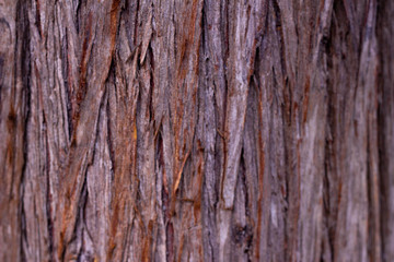 Wood texture.