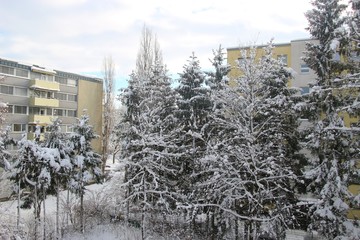 Winter in the suburb. Snow-covered trees and residential buildings. Salzburg, district of Lehen,...