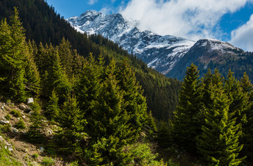 Fototapeta na wymiar Silvretta Alps summer view, Austria