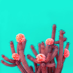 Cactus and roses decor. Minimal fashion cactus lover concept