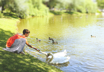 girl feeding swans lake shore park