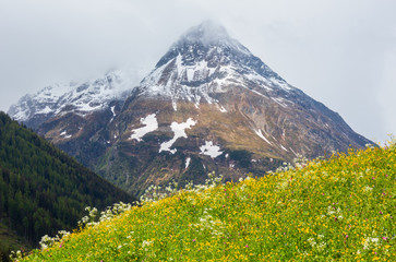 Fototapeta premium Silvretta Alps summer view, Austria