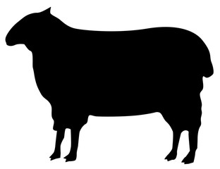 sheep vector icon eps 10