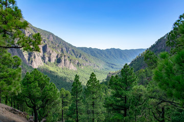 Fototapeta premium Looking along the volcanic blast crater from Mirador de la Cumbrecita, La Palma Island, Canaries