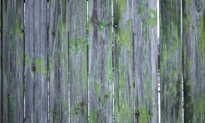 Wood texture. Old wooden fancy with green moss.