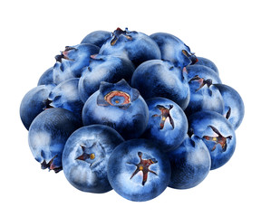 Obraz premium Isolated blueberries. Pile of fresh blueberry fruits isolated on white background with clipping path