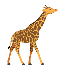 Obraz premium Giraffe walking african animal vector illustration icon isolated on white