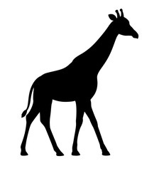 Silhouette giraffe flat isolated white background vector 