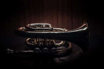 Trompete (Low-key ) 2