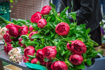 Beautiful flowers on display at Broadway market in Hackney, East London
