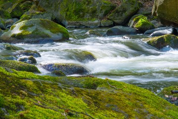 Fluss Bode im Bodetal, Felsbrocken mit Moos, Felsen, Flussbett, Frühling (Mai), Landkreis Harz,...