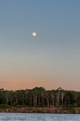 Sunset Over the Amazon Jungle