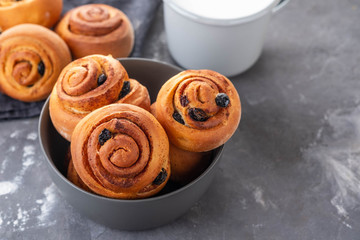 Freshly Baked Traditional Sweet Cinnamon Rolls, Swirl. Copy space.