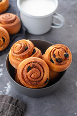 Freshly Baked Traditional Sweet Cinnamon Rolls, Swirl. Copy space.
