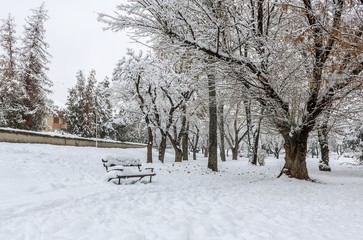 Fototapeta premium In the light of winter 