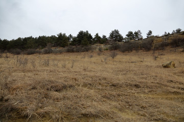 The slopes of the hills in the autumn day in cloudy weather