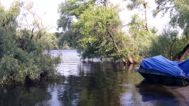 Quiet backwater of the Dnieper river