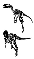 Graphical set of dinosaur skeletons isolated on white,vector illustration,tattoo design