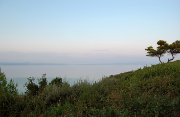 Pine tree on the hill and a panoramic view of the sea at sunset on the Greek coast.