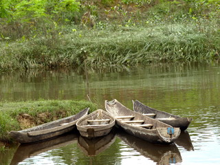 Canoes in the river