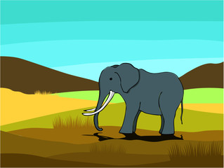 Elephant in the fields vector illustration