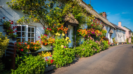 Cute old English house with a thatched roof and flowers in a green hilly landscape on a summer...