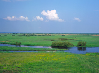 Fototapeta na wymiar Biebrzanski National Park in Poland. Panoramic of the grassy meadows and wetlands - wildlife and birds reserve. Biebrza river.