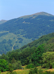 Trail to the Polonina Wetlinska, Bieszczady, Bieszczadzki National Park