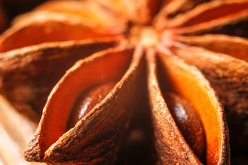 Exotic asian spice star anise. Extreme macro photography.