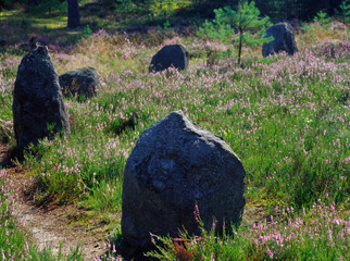 Tumuli in Odry, stone circle, the ancient graveyard of Goths and Gepids, Kaszuby, Poland