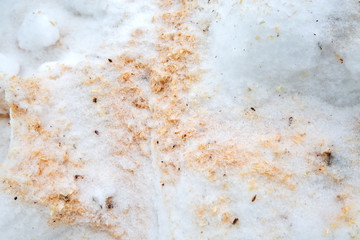 Wooden sawdust under the snow. Filings in snowdrift. Winter texture closeup Mulch