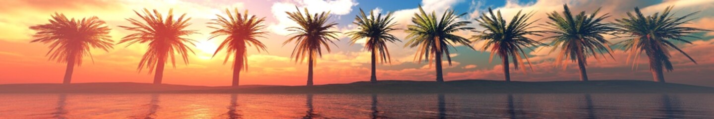 Palm trees over the water, a panorama of palm trees in a row at sunset by the sea,
