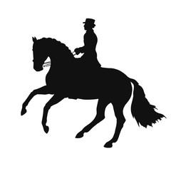 Silhouette of a dressage rider on a horse in the competition.